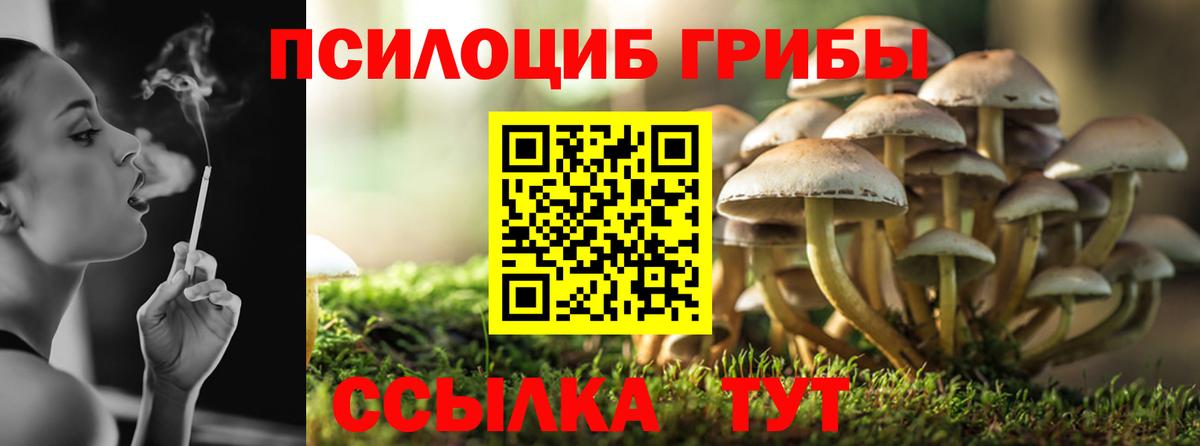 Галлюциногенные грибы Cubensis  Вход с VPN  Псилоцибиновые грибы GOLDEN TEACHER  купить  сайты  Балабаново 